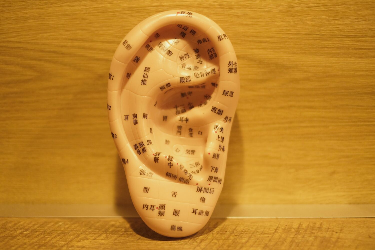 画像9325